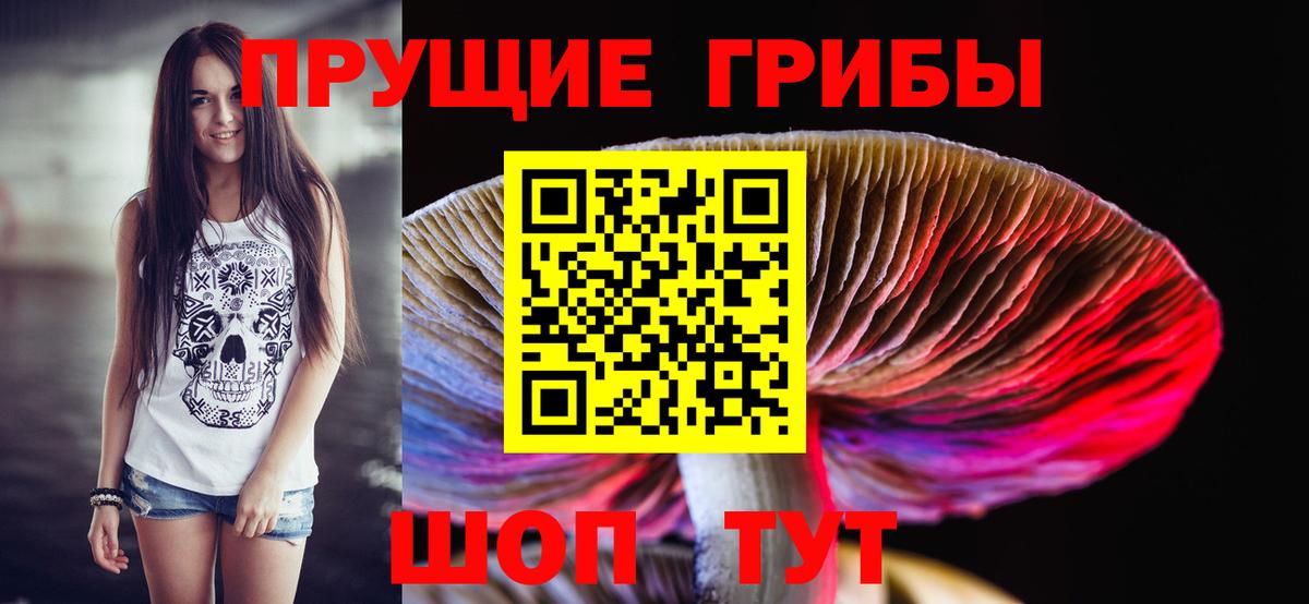Галлюциногенные грибы Psilocybine cubensis Наро-Фоминск