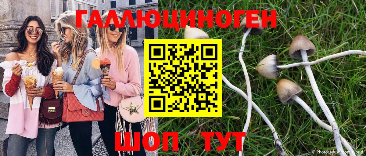 Галлюциногенные грибы MAGIC MUSHROOMS  Вход с VPN  Наро-Фоминск 